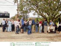 Festival Mar de Tethys 2026 - Bodega Vetas